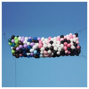 silver-rainbow-balloon-drop-net-7ft-x-20ft-balloon-drops-bnp7x20-sr-30226428919871.jpg